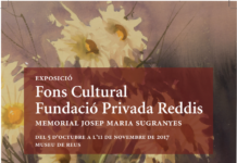 Fundació Privada Reddis